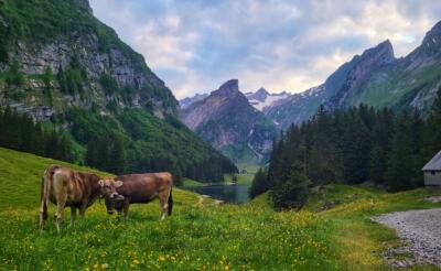 24 014 Bild Frühjahrstagung 2024 Prg